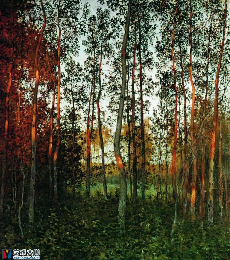 Aspen forest-oil painting